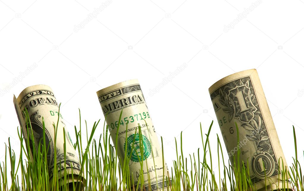 Dollar in grass