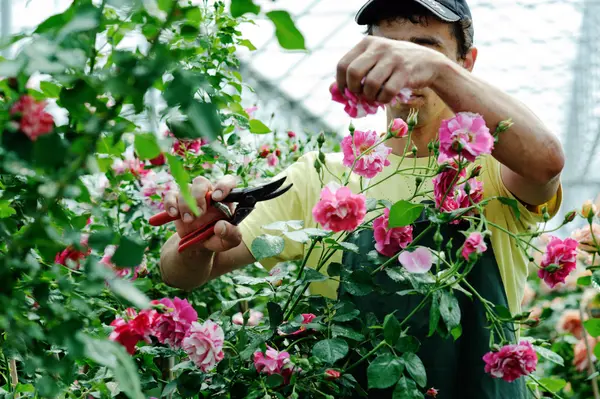 Worker in a rosary — Stock Photo, Image