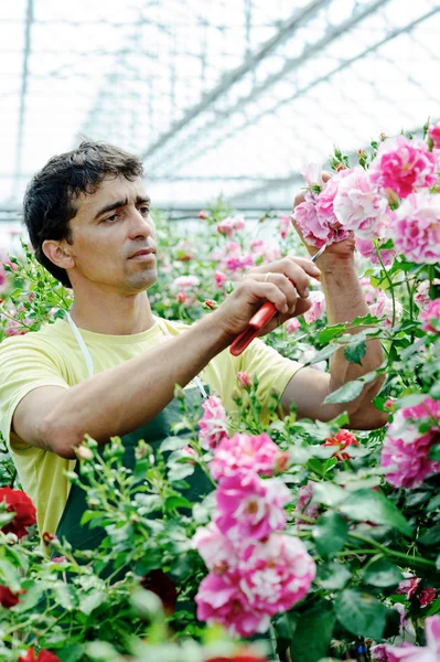 Werknemer in een rozenkrans — Stockfoto