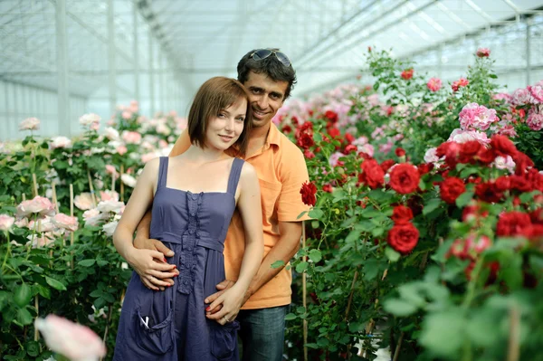 Couple in a greenhouse — Stock Photo, Image