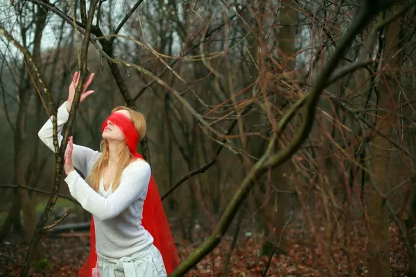 숲에서 Blinfolded 여자 — 스톡 사진