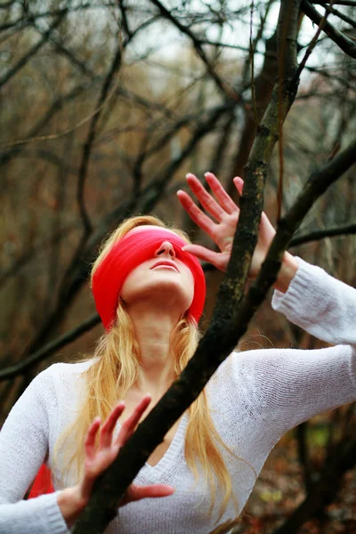 Blinfolded mooie vrouw in het bos — Stockfoto