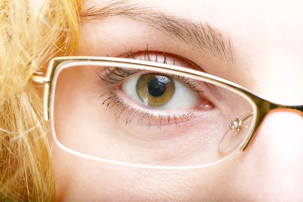 Óculos — Fotografia de Stock