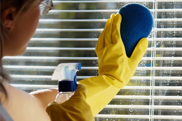Woman cleaning — Stock Photo, Image
