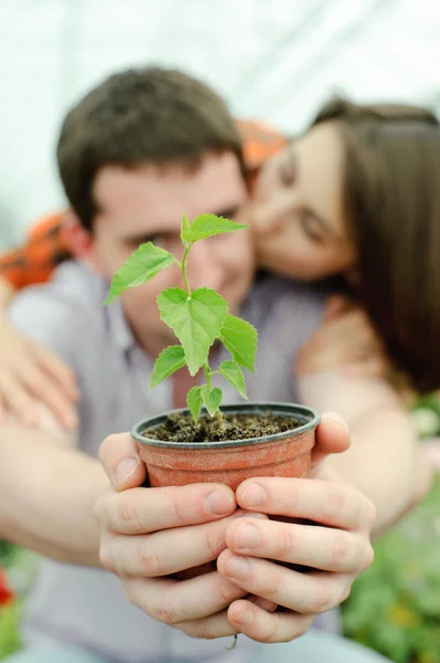 Par i ett växthus — Stockfoto
