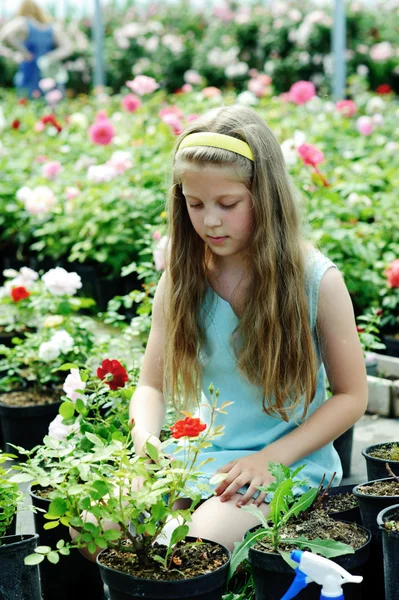 Meisje in een rozenkrans — Stockfoto