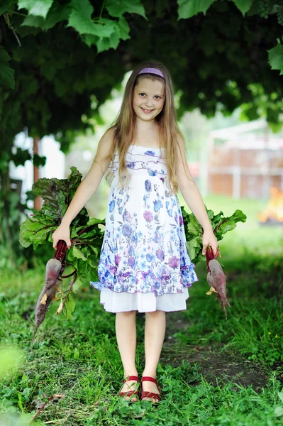 甜菜根植的女孩 — 图库照片