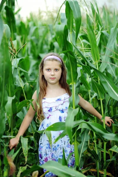 stock image Girl