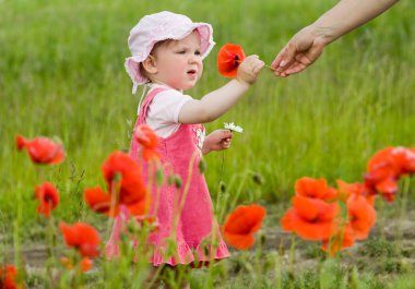 Baby with poppies clipart