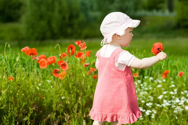 Bambino con fiore rosso — Foto Stock