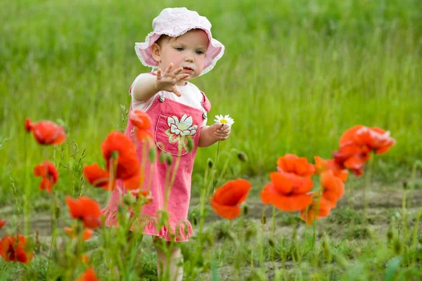 Meisje van de baby met papaver — Stockfoto