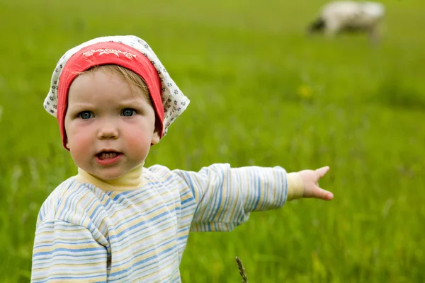 Baby in a field — Stock Photo, Image