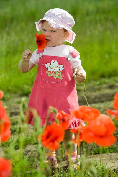 Niño entre flores rojas — Foto de Stock