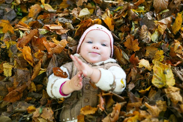 Child in a park — Stock Photo, Image