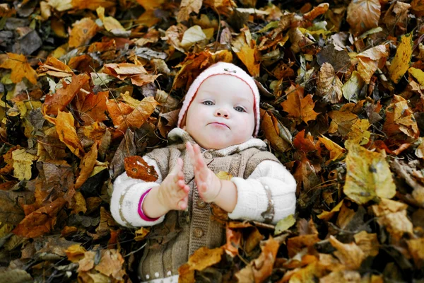 Bambino con foglie — Foto Stock