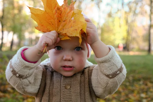 Дитина з листям — стокове фото