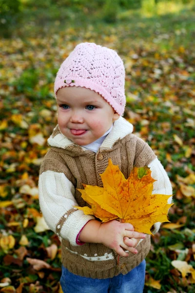 用树叶漂亮宝贝 — 图库照片