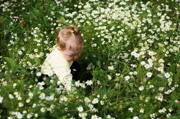 Девочка с цветами — стоковое фото