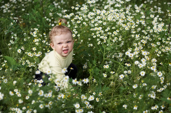 Baby-girl with white flowers — Stock Photo, Image