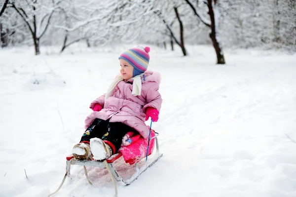 stock image Girl sledding