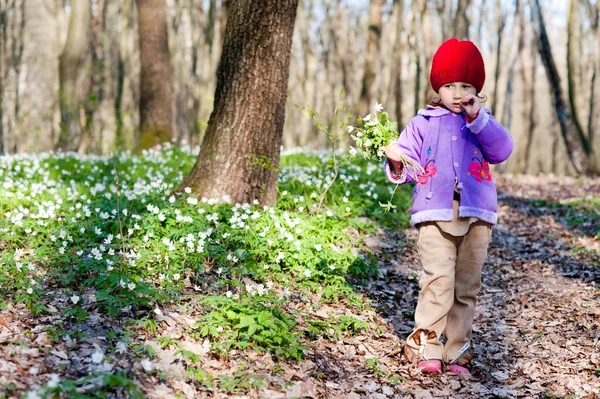 Caminhando menina na floresta — Fotografia de Stock