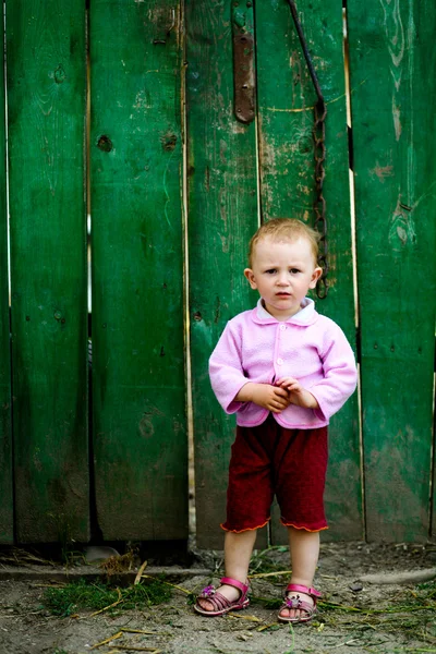 Ребенок у зеленого забора — стоковое фото