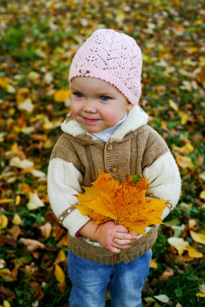 Ребенок в парке Стоковое Фото
