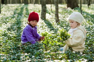 ormanda iki kız kardeş