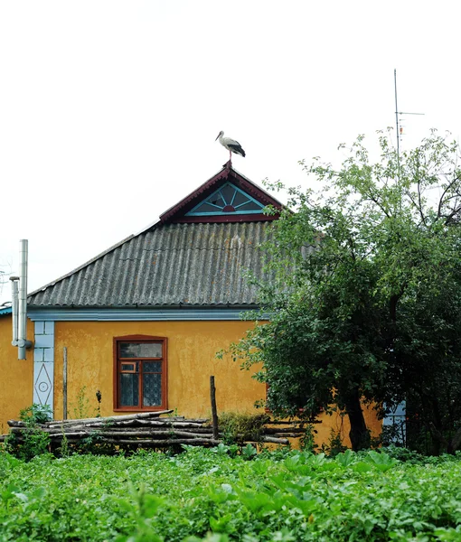 stock image House and stork