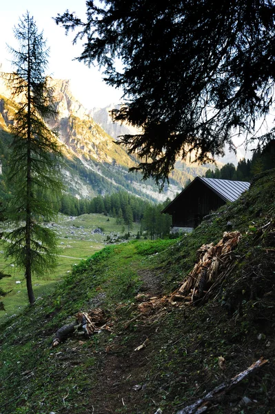 Een huisje in de bergen — Stockfoto