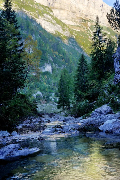 Fluss in den Bergen — Stockfoto