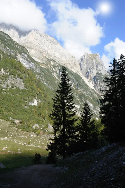 Felsige Berge und grüner Wald — Stockfoto