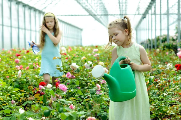 Två flickor i ett växthus — Stockfoto
