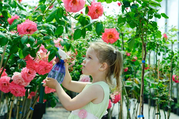 Klein meisje drenken bloemen in een kas — Stockfoto