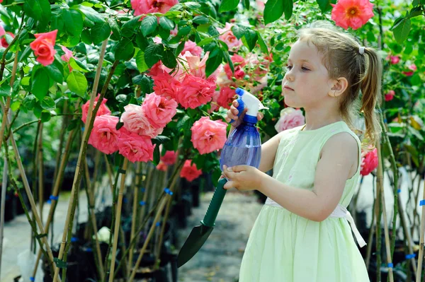 Little girl watering flowers in a greenhouse — Stock Photo, Image