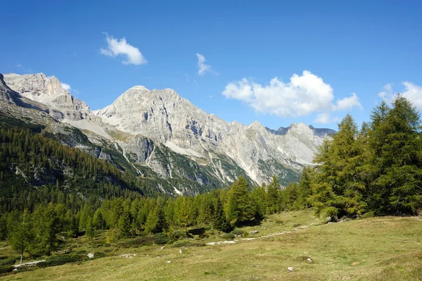 Prachtige groene vallei in de bergen — Stockfoto
