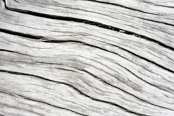 A background of grey weathered wood — Stock Photo, Image