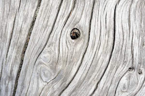 Un fond de bois gris altéré — Photo