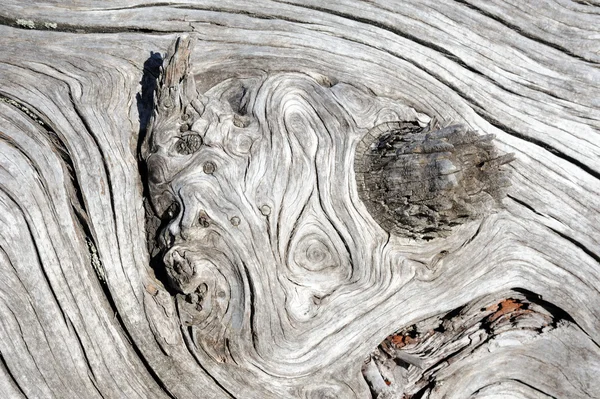 A background of old grey wood — Stock Photo, Image