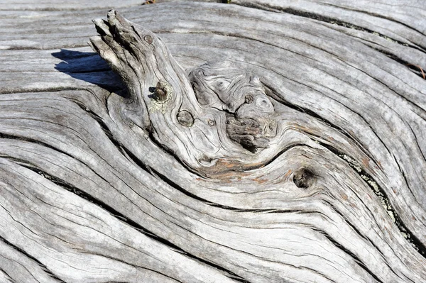 Uno sfondo di legno grigio intemperie — Foto Stock