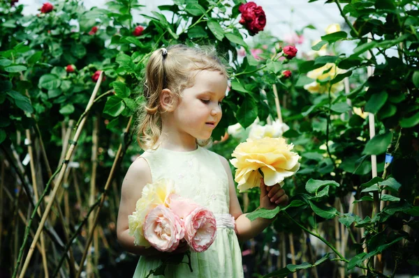 Une petite fille avec de grandes roses — Photo