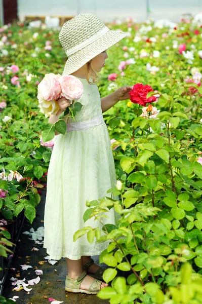 En flicka i ett växthus — Stockfoto