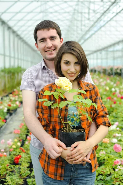 Um jovem casal com um vaso de flores — Fotografia de Stock