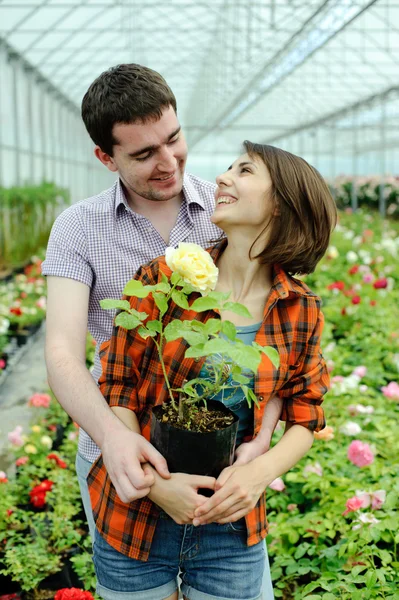 A young couple with a flower pot — Stock Photo, Image