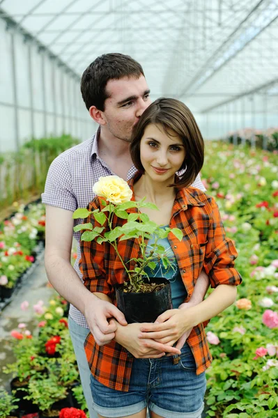 Un jeune couple avec un pot de fleurs — Photo