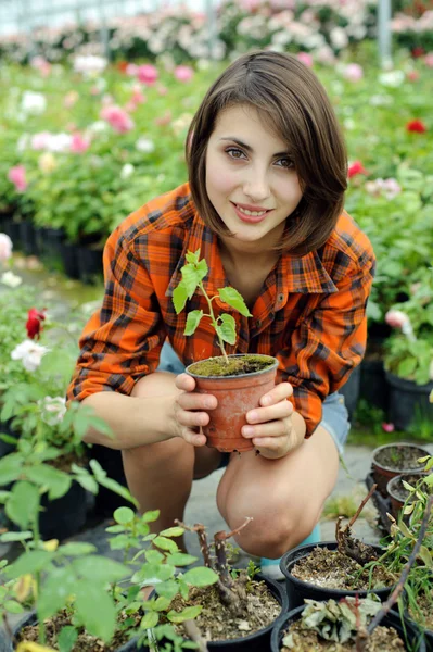 Seorang gadis dengan tanaman dalam pot — Stok Foto