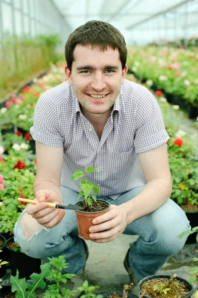 A man with a plant in a pot — Stock Photo, Image