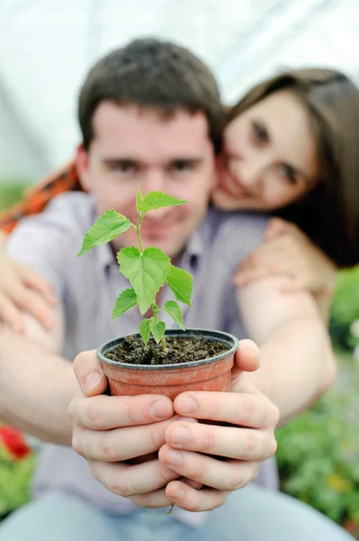 Couple in a greenhouse — Stock Photo, Image