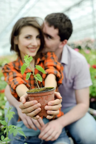 Ein junges Paar mit einem Blumentopf — Stockfoto