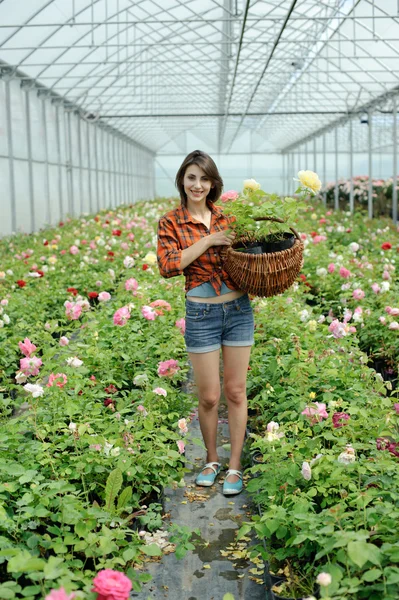 En kvinna med en korg i ett växthus — Stockfoto